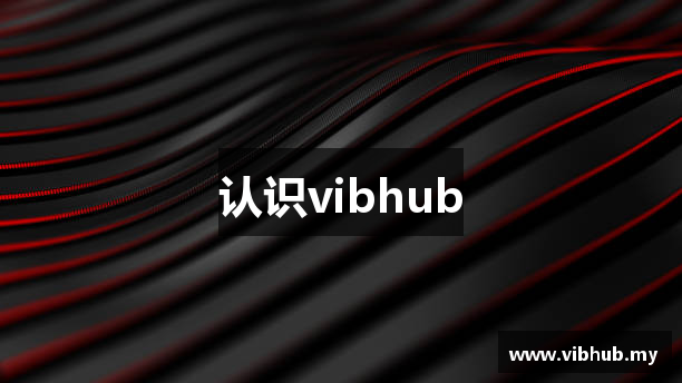 认识vibhub